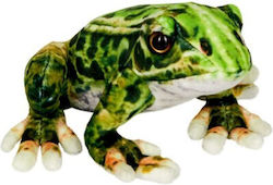 Die Spiegelburg Frog 17 cm.