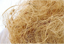 Ίνες Κοκοφοίνικα Coco Fibre Natural 100g
