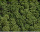 Moss Natural Verde 250gr