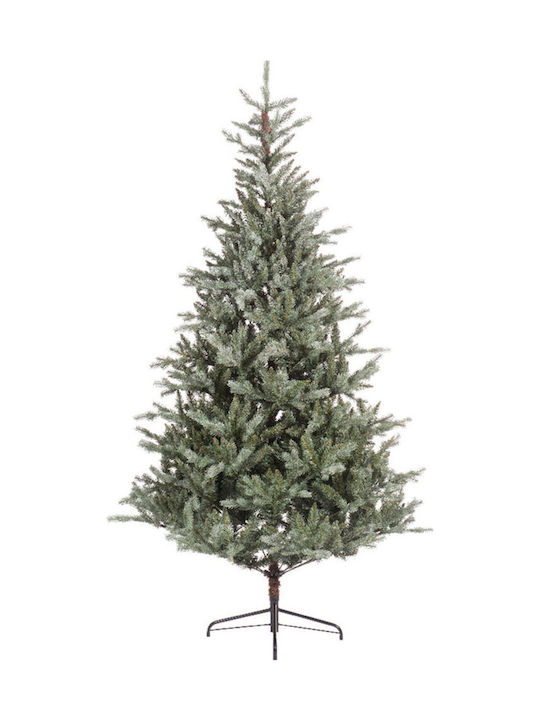 Weihnachtsbaum 240cm