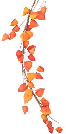 Gisela Graham Weihnachtskränze Orange Physalis 1.80 Cm