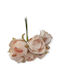 Set Mini 3cm Salmon Roses 6 Pieces