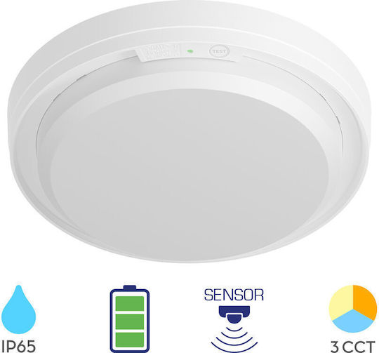 Braytron Стенни Външни Таванна Лампа LED IP65 18W с Регулируемо Бяло Светлина