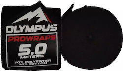 Olympus 306550