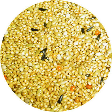 Professional Mix Premium Exotisch Paradiesvogel 1kg Professional Mix