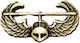 Σημα Air Assault Pin