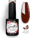 Gellie Halb-permanenter Nagellack 37 10ml 1Stück