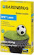 Barenbrug Rpr Lawn Grass 1kg Densifying Creeping Grass Seeds