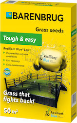 Barenbrug Resilient Tough & Easy Grass 1kg Very Strong Mix Robot
