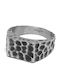 Kalliopi Silver Herren Ring aus Stahl