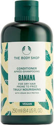 The Body Shop Conditioner 250ml The Body Shop Conditioner 250ml