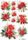 Hârtie de Orez Maja's Memories 22.5x32cm Alexan...