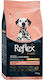Reflex Plus Adult Dog Medium & Large Breeds Light & Sterilised Complete Low-calorie Food Sterilised Dogs Medium Large Breeds Lamb Rice 12 Kg