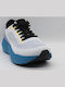 Herren Anatomisch Sneakers White / Blue
