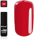 Silcare Gel Pentru Unghii She W!ll Stay Beautiful 4.5ml 4.5gr