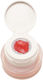 Alezori Nail Gel Passion 2gr