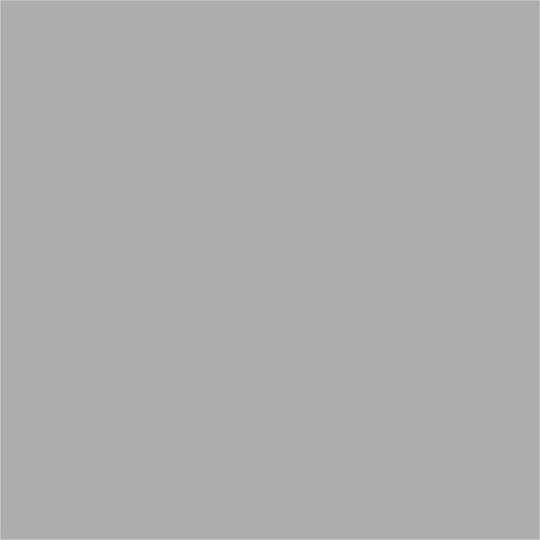 Silver Fliese Boden / Wand Innenbereich 25x25cm Silver