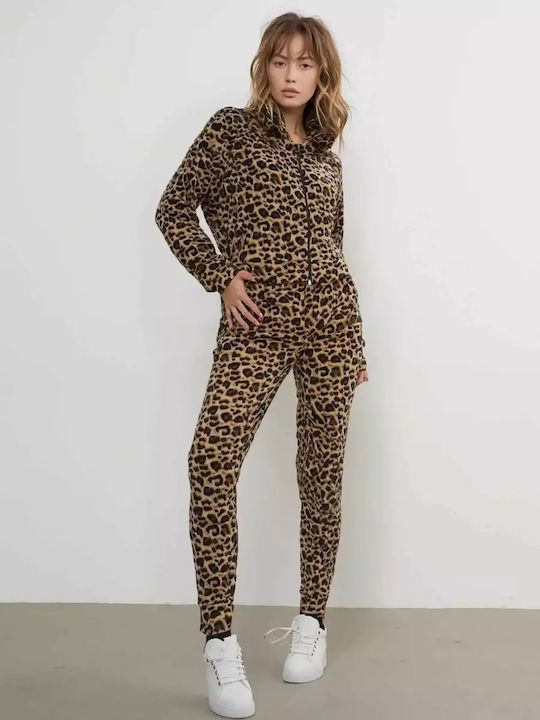 Remix Femei Brown Set cu Pantaloni cu elastic c...