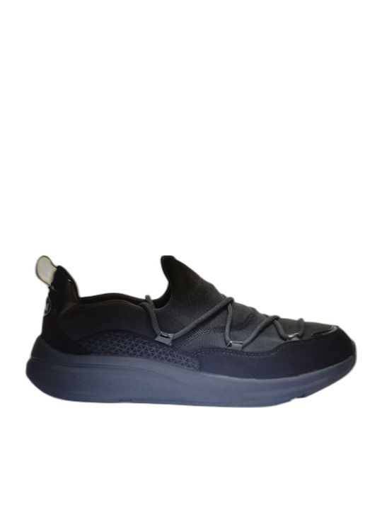 Scholl