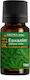 Aroma Inter Ätherisches Öl Eukalyptus 10ml