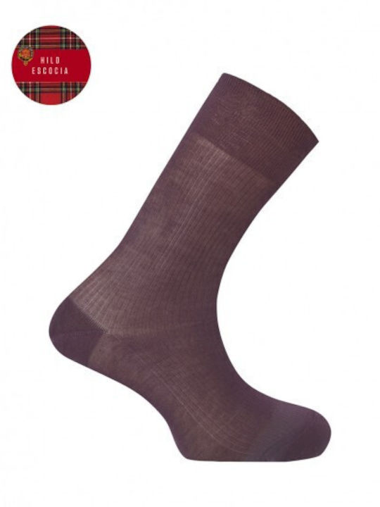 Gerippte Fil D'écosse Socken Punto Blanco Burgundisch