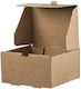 Set von 100 Boxen für Kartoffel 14x14x5cm