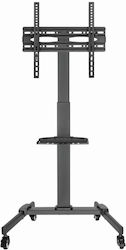Gembird TVS-55T-01 Floor TV Mount Up To 55"