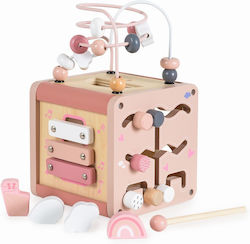 Moni Activity Cube for 36++ Months
