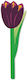 Σελιδοδείκτης If Flower Painted Purple Tulip