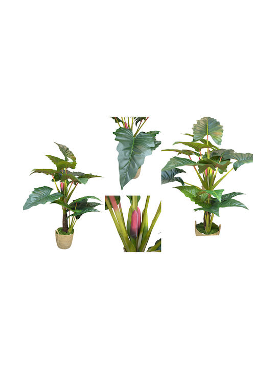 Alocasia With Real Texture Without Pot 155cm 0516211