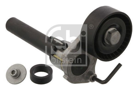 Întinzător Curea Distribuție Febi Bilstein 36203