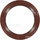 Crankshaft Seal Victor Reinz 81-35882-00