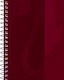 Oxford Carnet 80 Foi Cu dungi Alb
