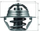 Thermostat Cooling Liquid Mahle Tx 100 89d