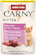 Animonda Carny Wet Food for Young Cats in Pouches 85gr