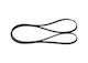 Bosch Ribbed Transmission Belt 1 987 946 239