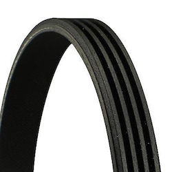 Continental Ctam 4pk1366 Rippierter Autotriebwerk Gürtel Continental Ctam 4pk1366 Rippierter Autotriebwerk Gürtel