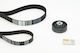 Continental Ctam Ct939k6pro Kit Curea De Distribuție