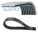 Dayco Ribbed Transmission Belt 8pk1920hd