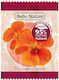 Belle Nature Bath Fizzing Tablet Wooden Spirit 24 G