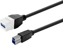 Keystone White Usb 3.0 A-female To Usb 3.0 B-male