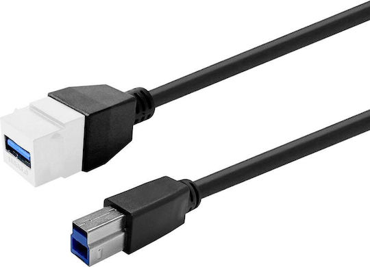 Keystone White Usb 3.0 A-female To Usb 3.0 B-male