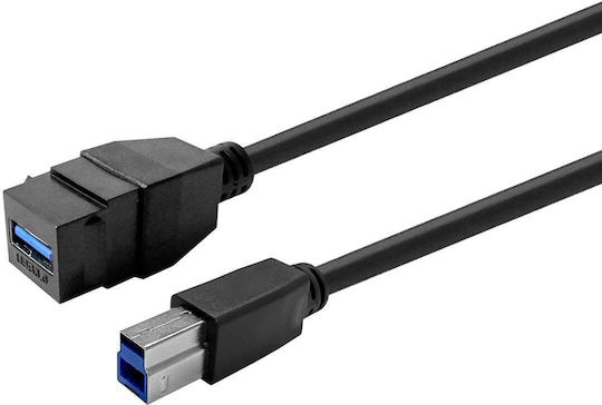 Vivolink Keystone Black Usb 3.0 A-female To Usb 3.0 B-male