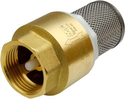 Rückschlagventil 4117025 1 Zoll Filter