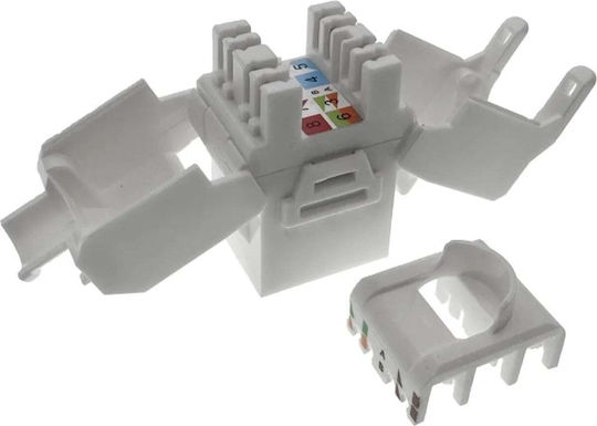 Keystone Jack Rj45 Toolless Unshielded Cat 6a Q-lantec