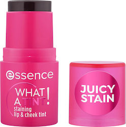 Essence What A Tint! Stick Ρουζ 10 Raspberry Vibes 5gr