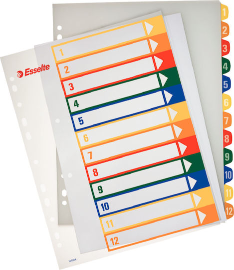 Esselte Binderblätter Druck Maxi A4 1-12 100214