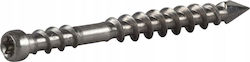 Essve Screw with Diameter M4.8 and Length 60mm
