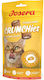 Crunchies Cheese 60g