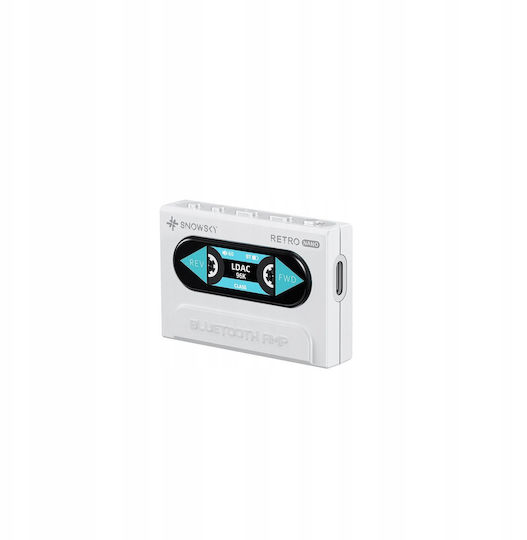 Fiio Retro Nano Dac Amp By Snowsky White